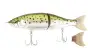 BabyFace BB180-MSS # 021 Rainbow Trout