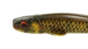 Major Craft Stabi Shad 6 Slim
