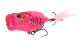 Adusta Neo Rean Popper