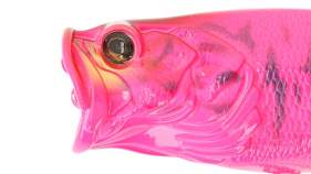 Adusta Neo Rean