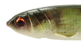 Major Craft Stabi Shad 3.5 Single