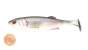 Major Craft Stabi Shad 4 Single