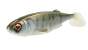 Major Craft Stabi Shad 6 Single
