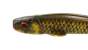 Major Craft Stabi Shad 6 Slim Single