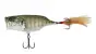 Adusta Neo Rean #160 Blue Gill