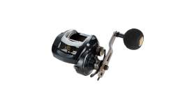 Tailwalk Elan Super Wide Power 81BL