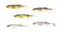 Starterpaket Major Craft Stabi Shad 4