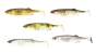 Starterpaket Major Craft Stabi Shad 5