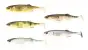 Starterpaket Major Craft Stabi Shad 6