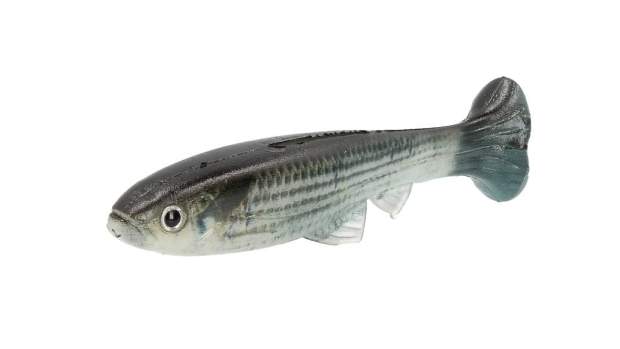 Imakatsu Huddle Swimmer Eco 3