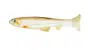 Imakatsu Huddle Swimmer Eco 3 #210 Flash / Hasu