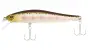 ZipBaits Rigge 70F # 851 Natural Yamame