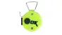 DEKA Fish Counter Light Green