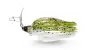 Adusta A-Blade Chibi 5 #803 Moss Green / Ayu