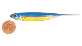 Fish Arrow Flash J 3