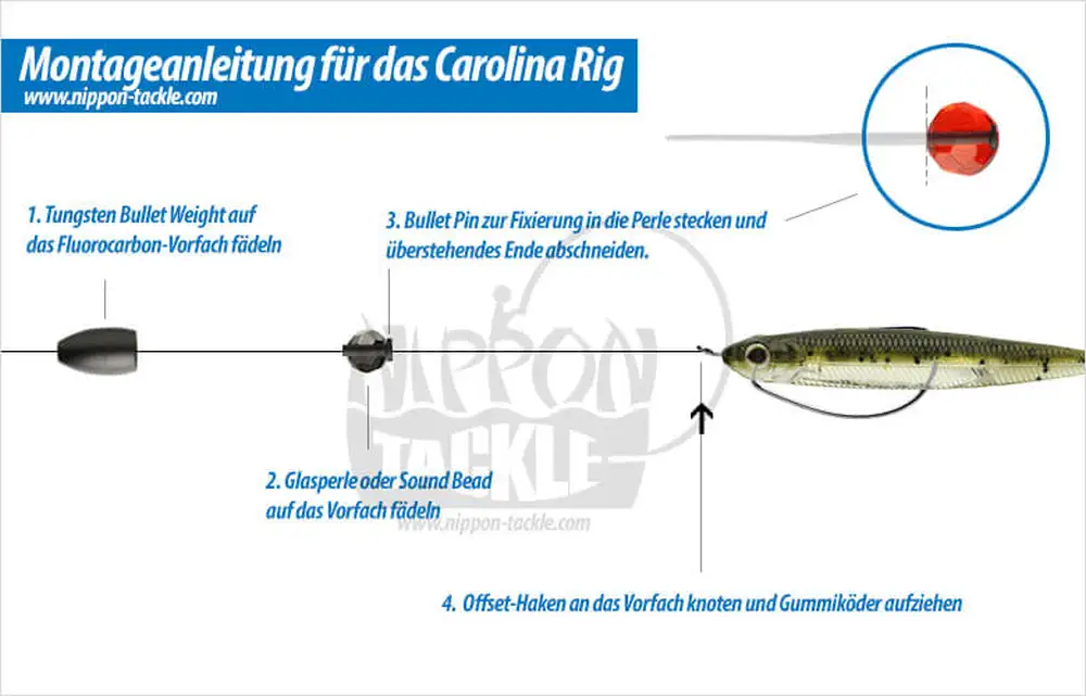 Carolina Rig Montage / Anleitung